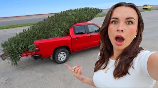 I BOUGHT A 20 FOOT CHRISTMAS TREE!