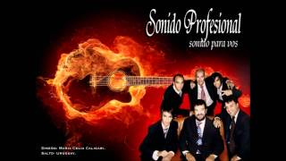 Video thumbnail of "Sonido Profecional El Tren Del Olvido.wmv"
