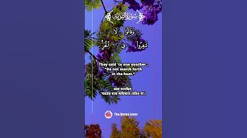 32 ) Surah At-Tawbah - سورة ٱلتوبة -( The Repentance ) 9:81-82 #কুরআন #তেলওয়াত