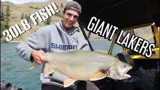 GIANT 30lb Laker in the Okanagan by GTZ Outdoors 2,098 views 2 years ago 9 minutes, 54 seconds