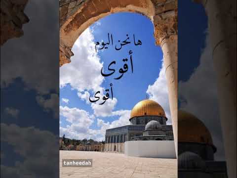 يرحلون ونبقى الحق سلاحي جوليا بطرس  تنهيدة