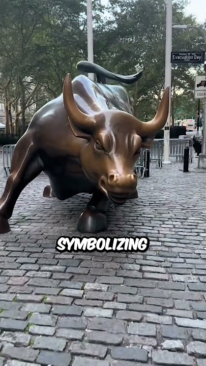 The Girl Who Stands Up To Wall Street!