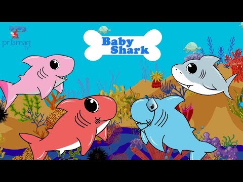 Basuri Baby Shark original Kabelbaum