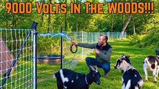 ELECTRIC Fence Netting...How I Get POWER To The WOODS!!!