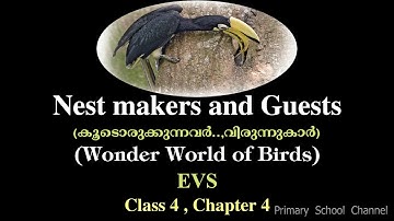 Nest Makers and Guests (Wonder World of Birds)EVS,Class 4,Chapter 4,പക്ഷികളുടെ കൗതുകലോകം,പരിസരപഠനം