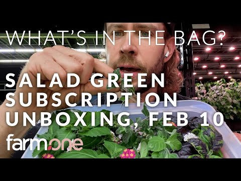 Kale, Scarlet Frills Mustard, Dill, Yarrow, Blue Spice Basil... What&rsquo;s in the Bag February 10th?