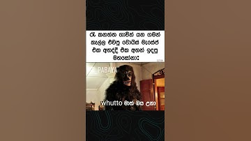 Thumbnail of ammo eka😂😅  #trending #love #song #new #mahasona #memes