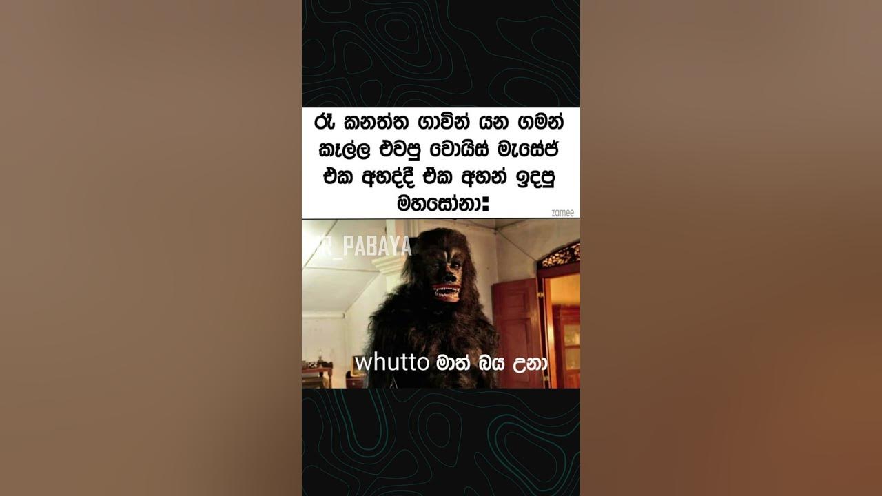ammo eka😂😅  #trending #love #song #new #mahasona #memes