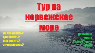 Тур на Норвежское море рр4