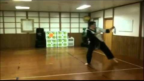 Tang Soo Do 2.0 Intermediate Form 8