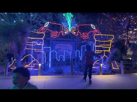 Zoo Lights Denver