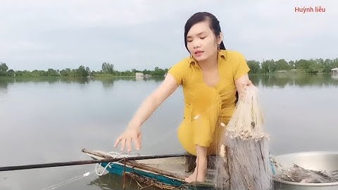 19/Giăng lưới mùa nước nổi dính bầy cá đồng ngon quá 