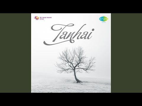 Jab Bhi Choom Leta Hoon (Pyar Ka Jashn:- Non-Film)