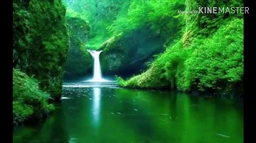 بكااااء وخشووووع خالد الجليل اثناء قراة سوره الهمزة