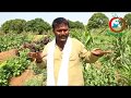 Natural Farming | A Model of Integrate Agricultural Farm