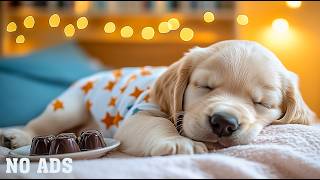 12 Hours Relaxing Dog Music 🎵 Calming Dog Music -  Improve Sleep Quality for Dogs 💖 No Ads