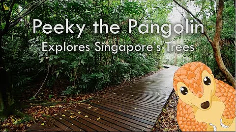 Peeky the Pangolin Explores Singapore’s Trees - DayDayNews
