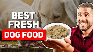 Best Fresh Dog Food Brands (2024)