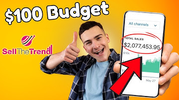 Best Way to start Dropshipping with $100 in 2024(Step By Step Guide)