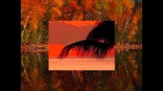 نشيد لي أيام مدري وين دارك للمنشد معيض القحطاني