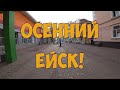 Супер - Осень! //Козы на завтраке // Осенний Ейск // Антикварная комиссионка !))