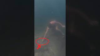 Нашел золотое кольцо на дне карьера 💍💍💍    #нашел #scubadiving #underwater
