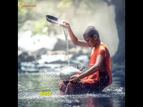 world water day | world water day whatsapp status video | world water day status video