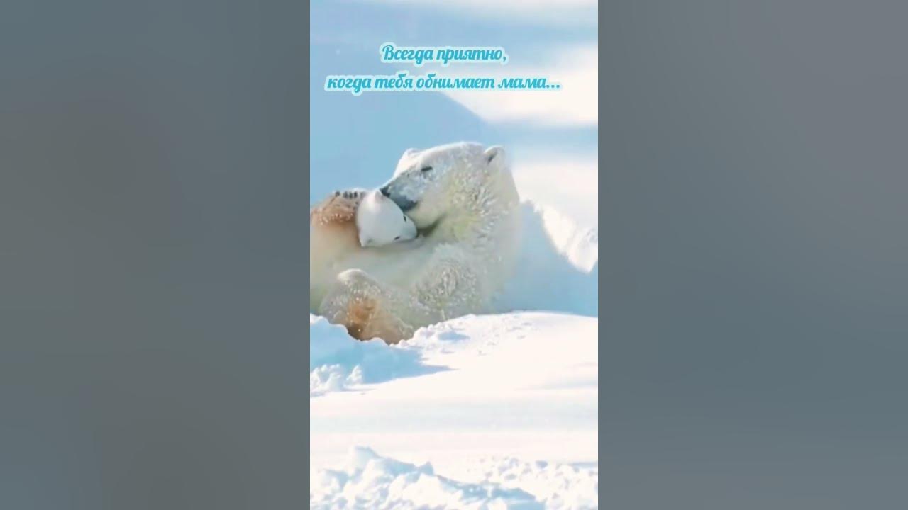 Дай-ка я тебя обниму - YouTube