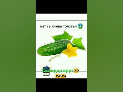 лайк за помидор - YouTube