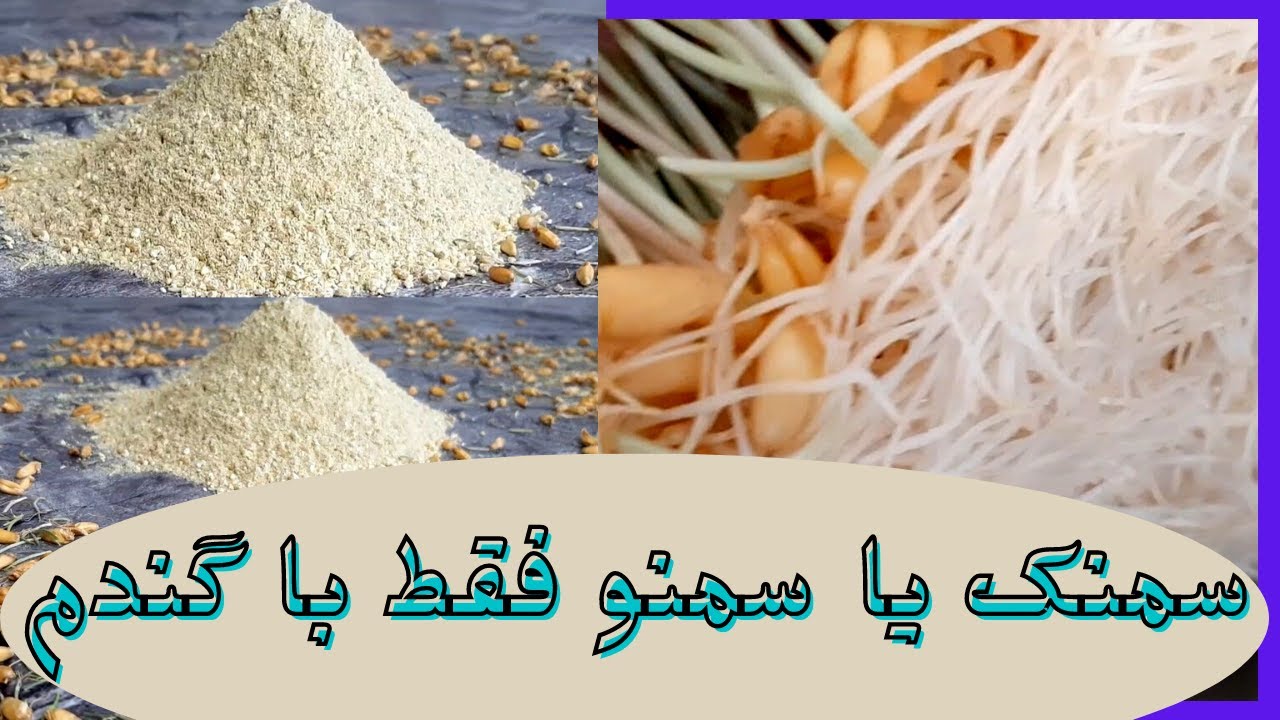 صفر تا صد تهیه و مراقبت از سمنک یا سمنو با بهترین کیفیت، فقط با ( آب و گندم )
