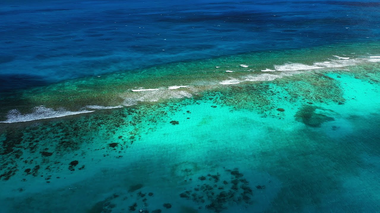 St.Croix Reef Virgin Island 4K - YouTube