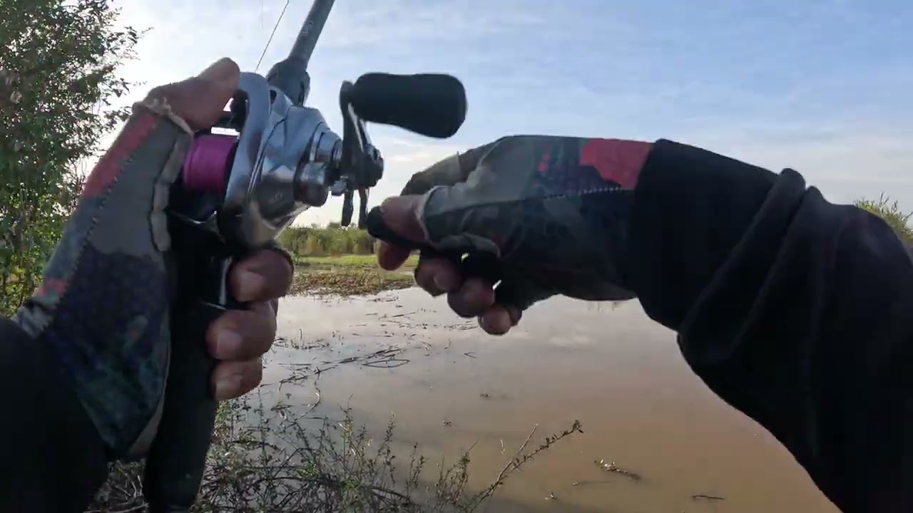 បឹងក្នុងព្រៃ #បឹងរមាសជល់ #ស្ទើរតែអំបិល #បឹងជ្រៅអត់ត្រី