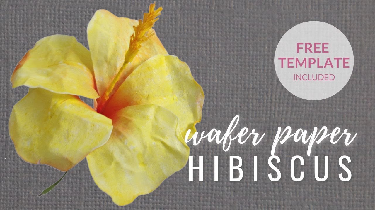 Wafer Paper Flowers Tutorial - Happy Happy Nester