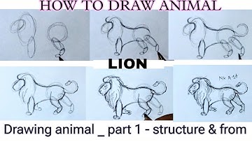 How to Draw Animals Drawing step by step tutorial for Beginners  - Part 1 - Structure & Form 😱