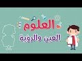 العلوم | العين و الرؤية