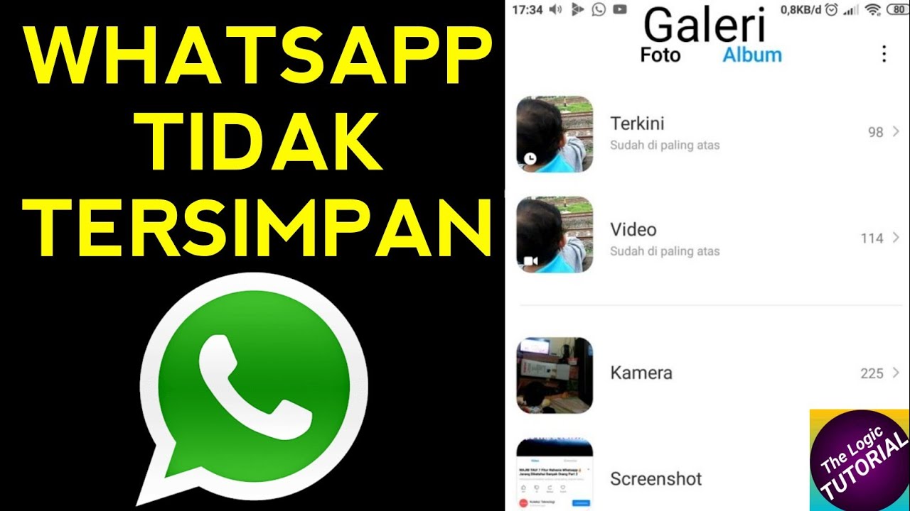 Cara Mengatasi VIDEO WHATSAPP  TIDAK  BISA  MUNCUL di GALERI 