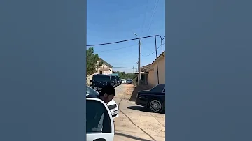 المافيا الروسية أناقة في الاجرام 