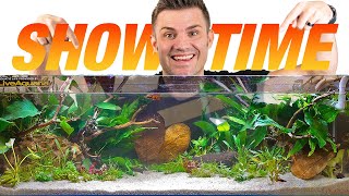 44 Year Old Fish Store Helps My Aquarium Build