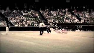 Akron Aeros 2011 Summer Blockbuster Trailer