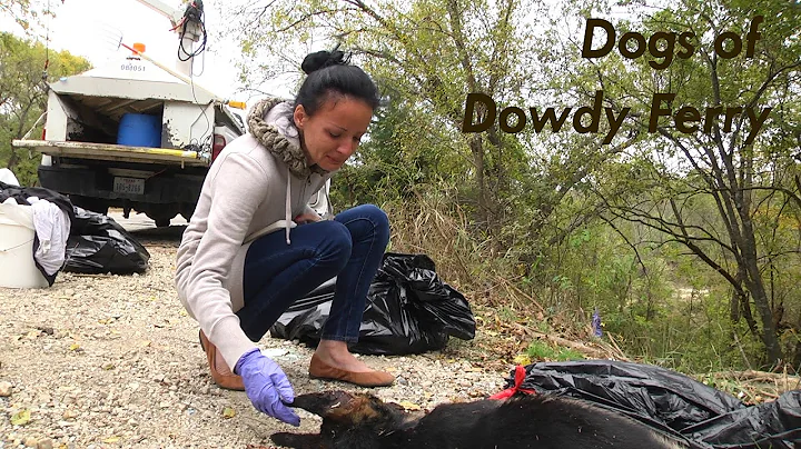 Dogs of Dowdy Ferry Trailer (Graphic Version)