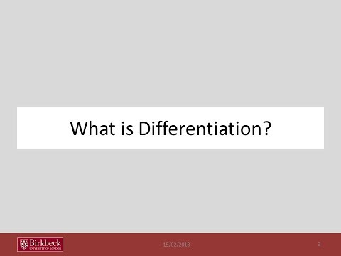 MFB Basic Differentiation