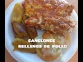 EXQUISITOS CANELONES RELLENOS DE POLLO  TRUCOS Y ALTERNATIVAS