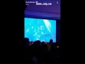 JayZ Beyonce TIDAL Rising Haifa Wehbe MJKملكة جمال الكون هيفاء وهبي ماتيجي نرقص Mateegi Noroos