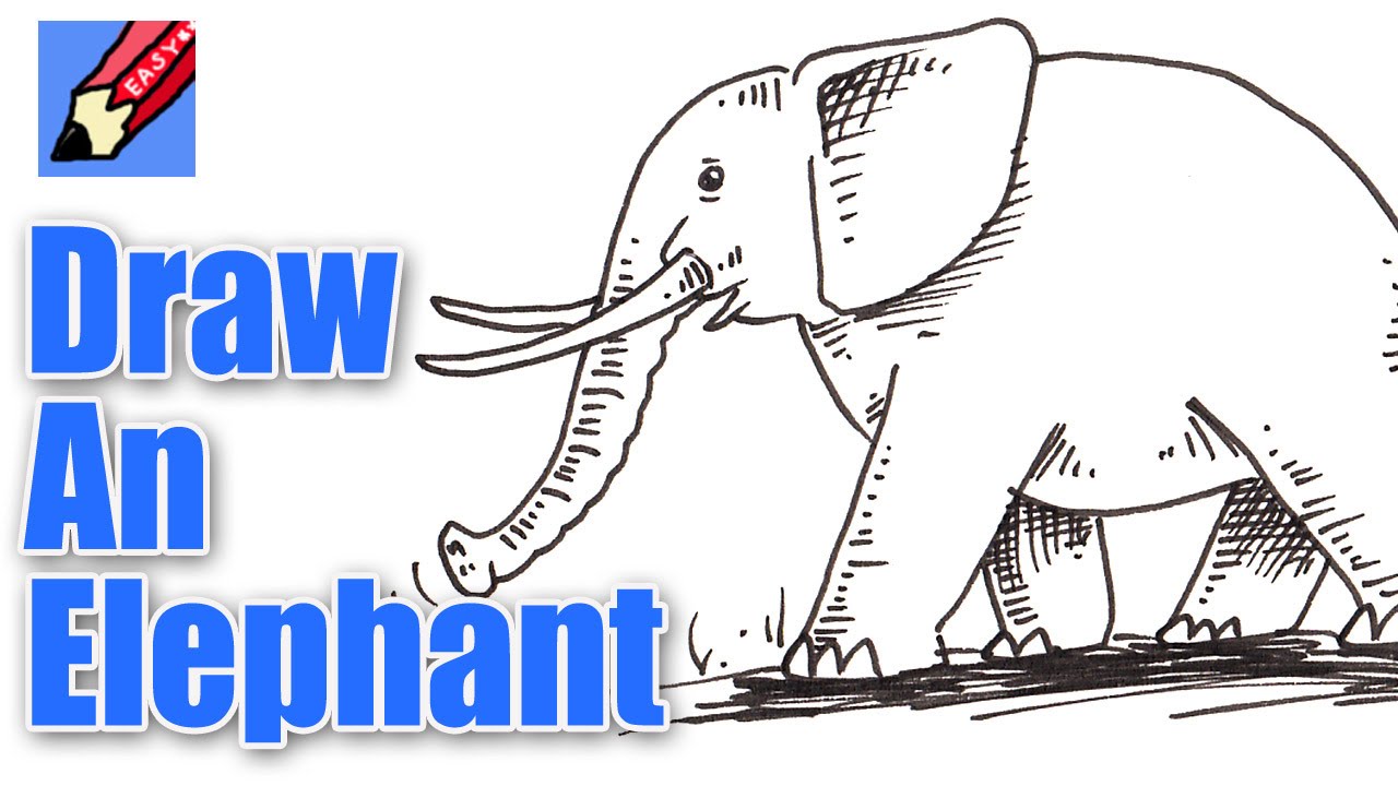 Draw an Elephant Easy - YouTube