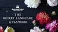 The Secret Language of Flowers ile ilgili video