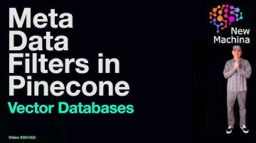 Meta Data Filters in Pinecone Vector Database