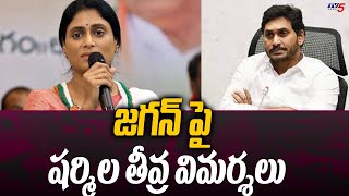 YS Sharmila Sensational Comments On CM YS Jagan | AP Politics | TV5 News