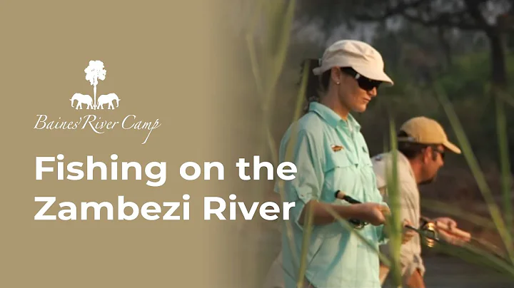 Epic Tiger Fishing Adventure on the Zambezi River | Baines' River Camp
