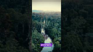 Mystery The Walking Tree Of The Amazon