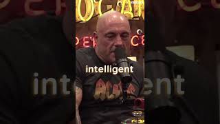 What If ChatGPT Has Questions Of It's Own? | Joe Rogan | #shorts